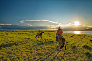 Mongolia steppa cavalli