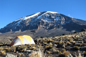 Kilimangiaro Tende Trekking